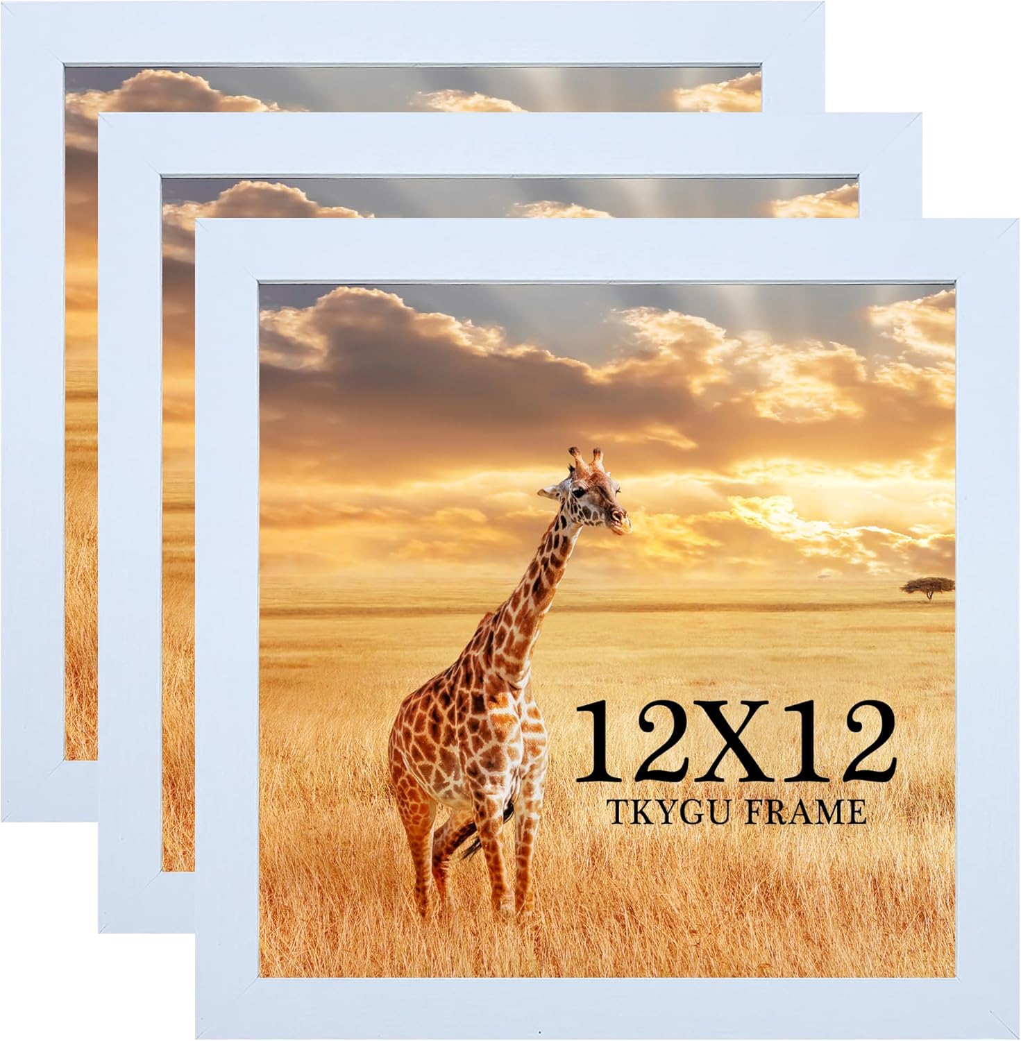 11x15 Picture Frame Set of 3,Wooden Frame 11x15 Wall Gallery Poster Photo frame Black with Durable Shatter Resistant Plexiglass for Wall Mounting Family -friend- wedding best gift