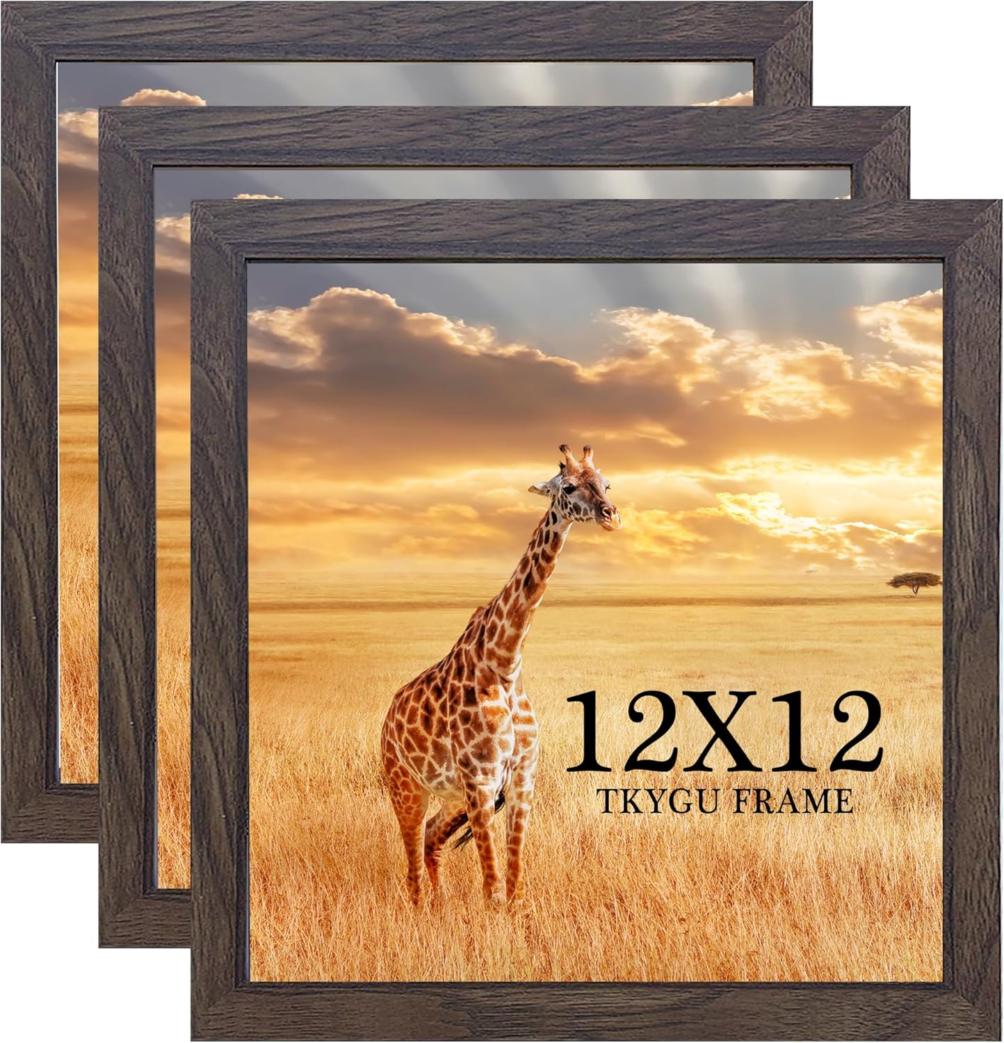 11x15 Picture Frame Set of 3,Wooden Frame 11x15 Wall Gallery Poster Photo frame Black with Durable Shatter Resistant Plexiglass for Wall Mounting Family -friend- wedding best gift